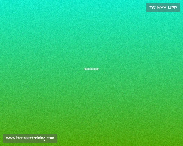 日本全国少年足球大赛